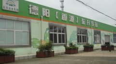 蔬菜種植培育基地五