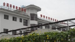 蔬菜種植培育基地十三