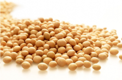 食用植物油的分類(lèi)及作用